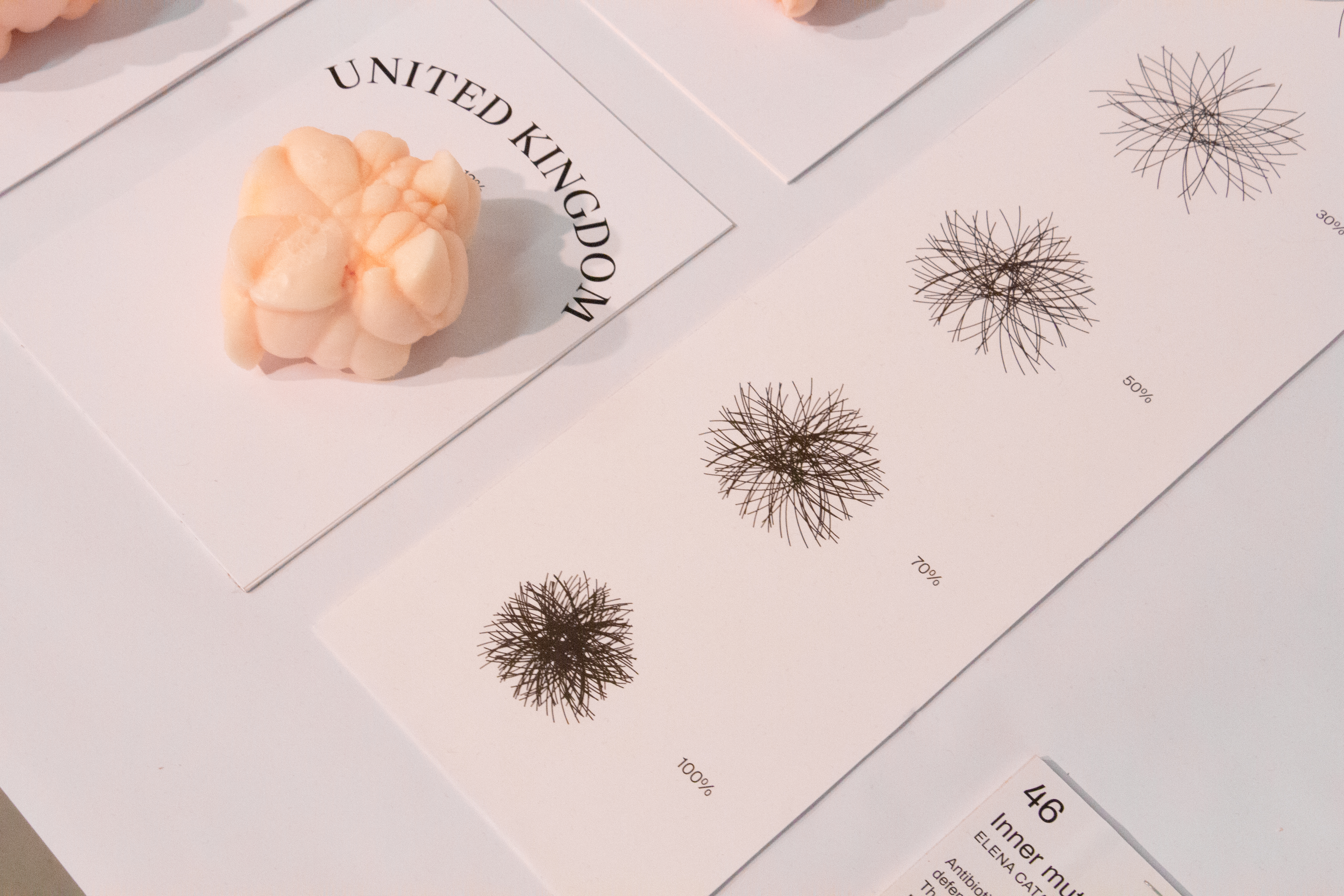 Complementary image of the project Inner Mutation