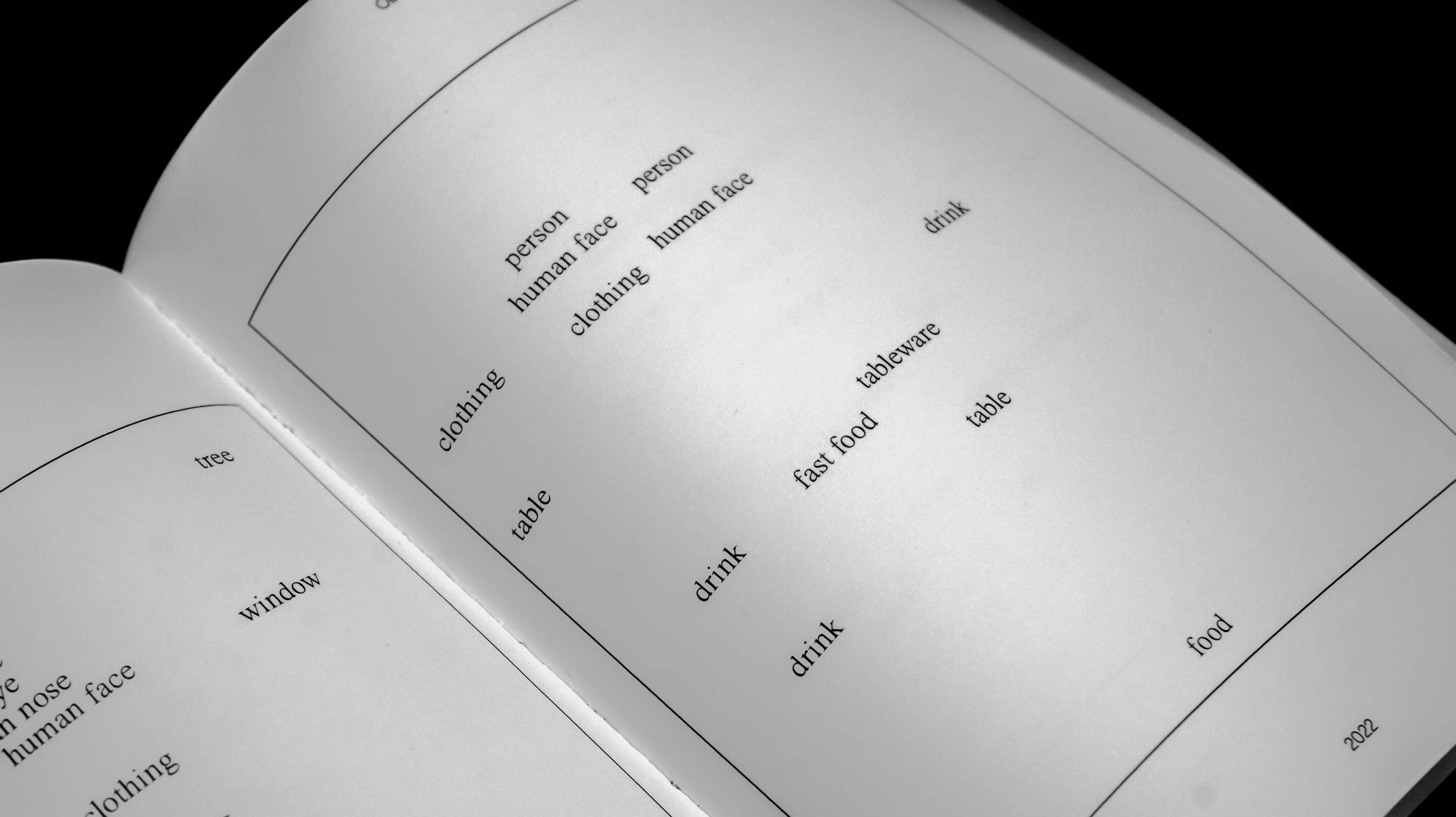 Complementary image of the project Human Face