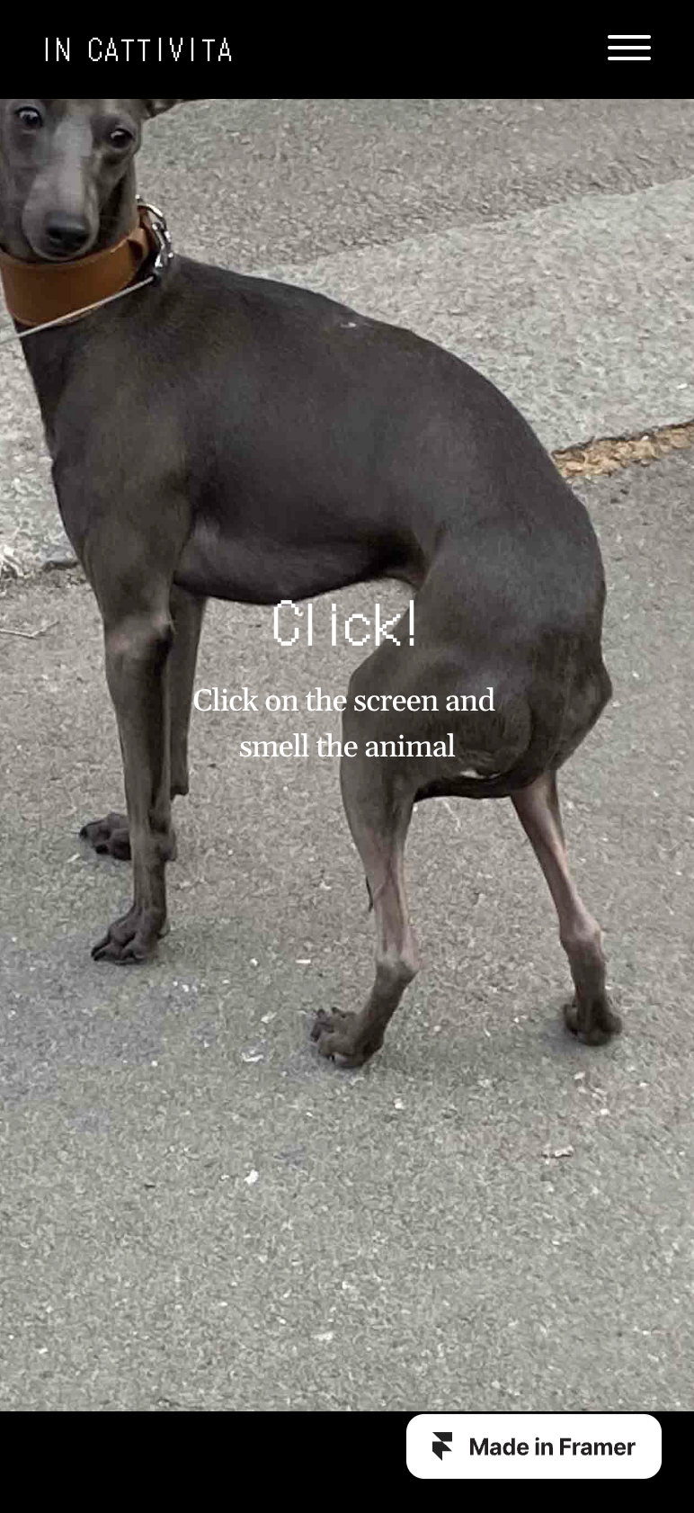 Featured image of the project In Cattività