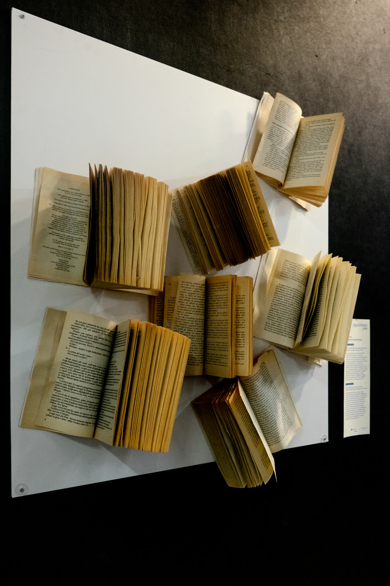 Complementary image of the project Resonance of Unread Stories