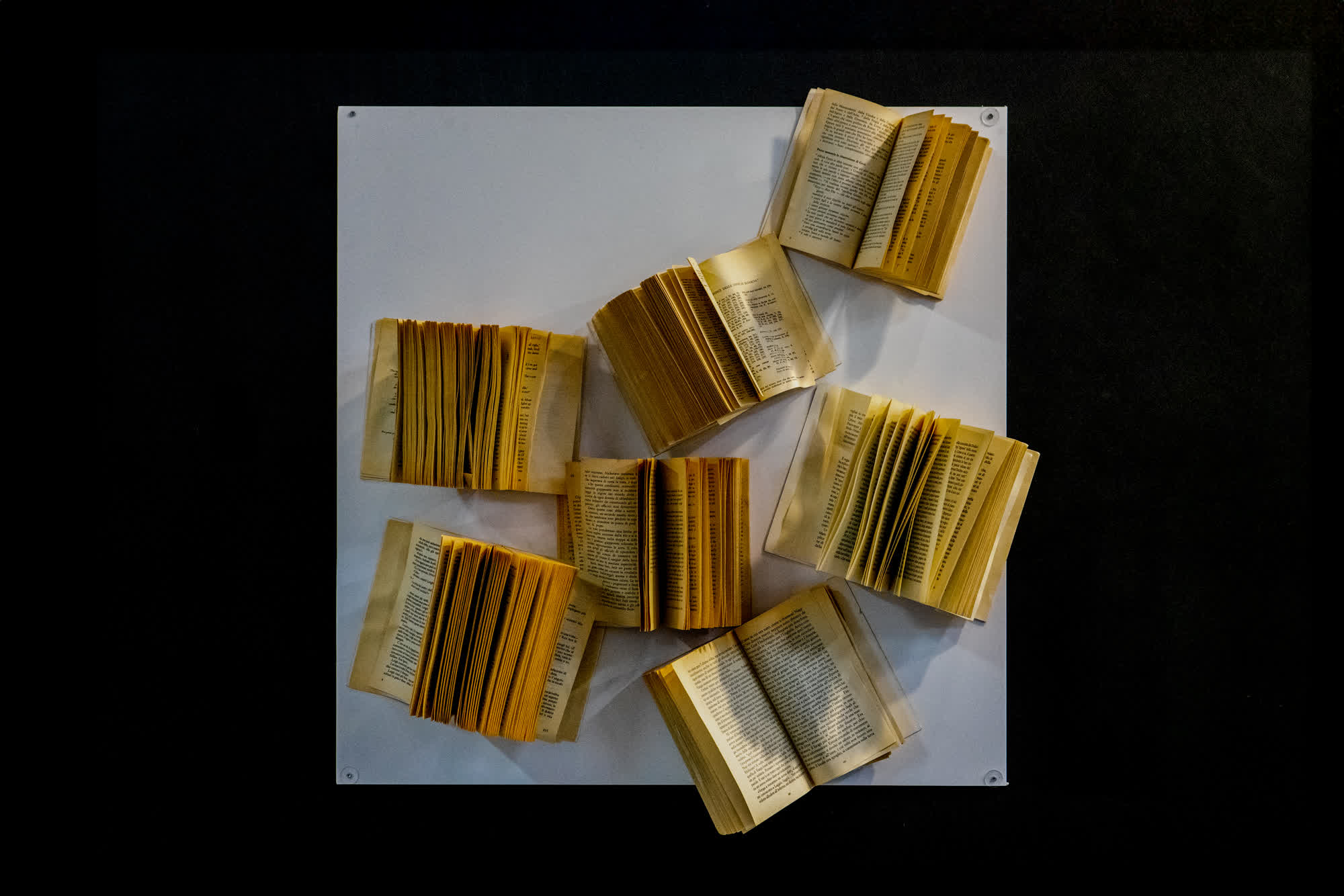 Featured image of the project Resonance of Unread Stories