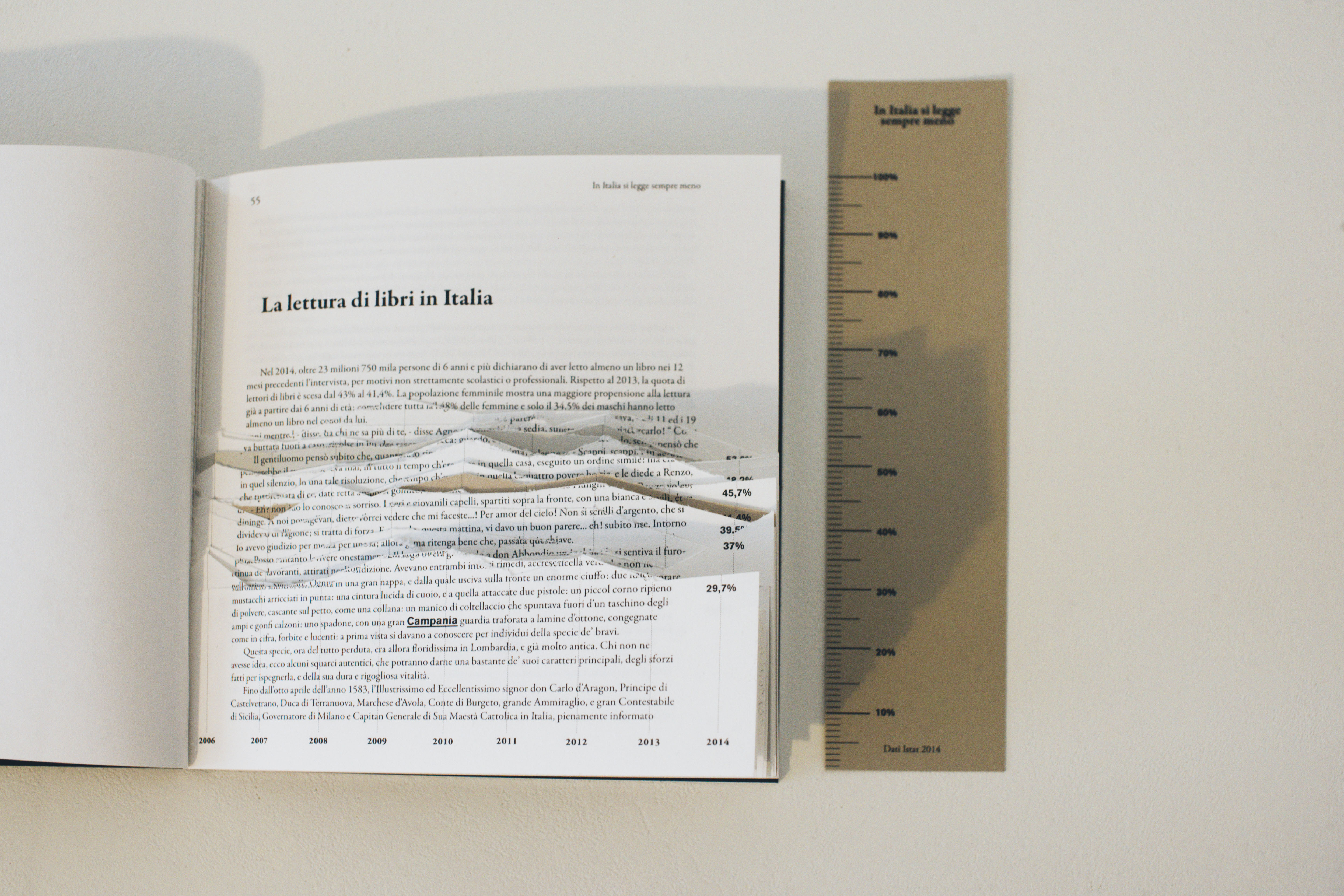 Complementary image of the project La lettura di libri in Italia