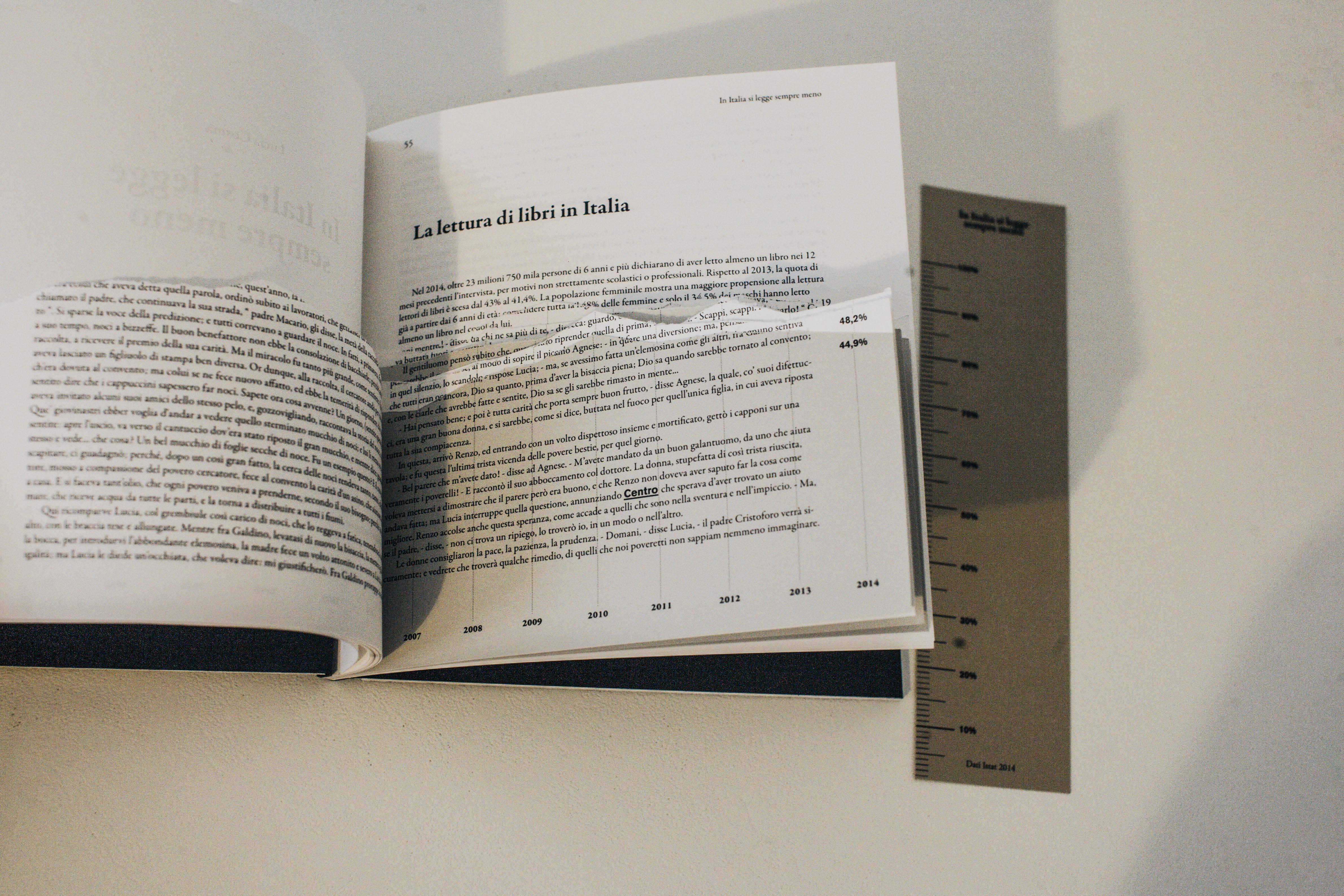 Complementary image of the project La lettura di libri in Italia