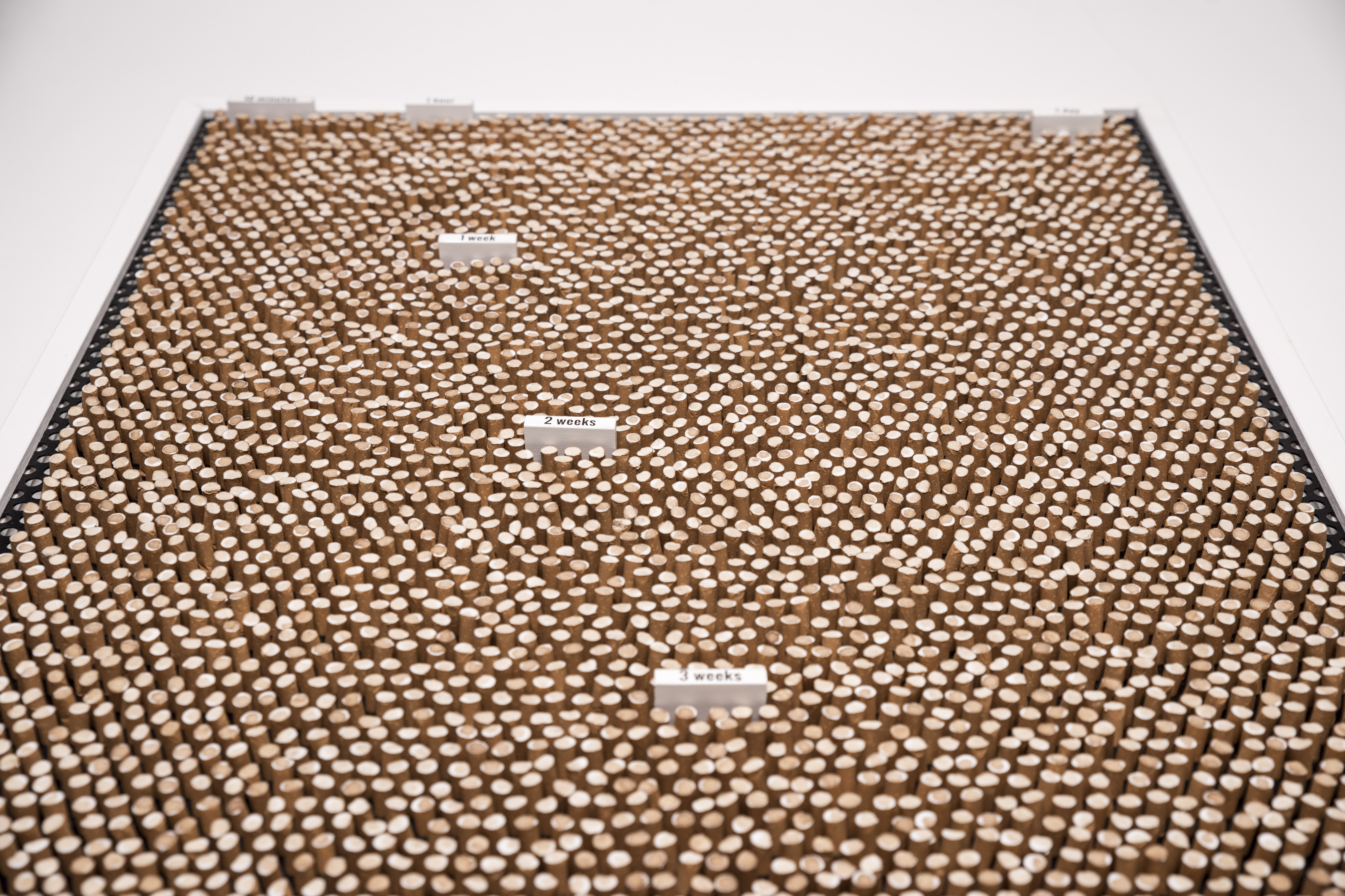 Complementary image of the project No title