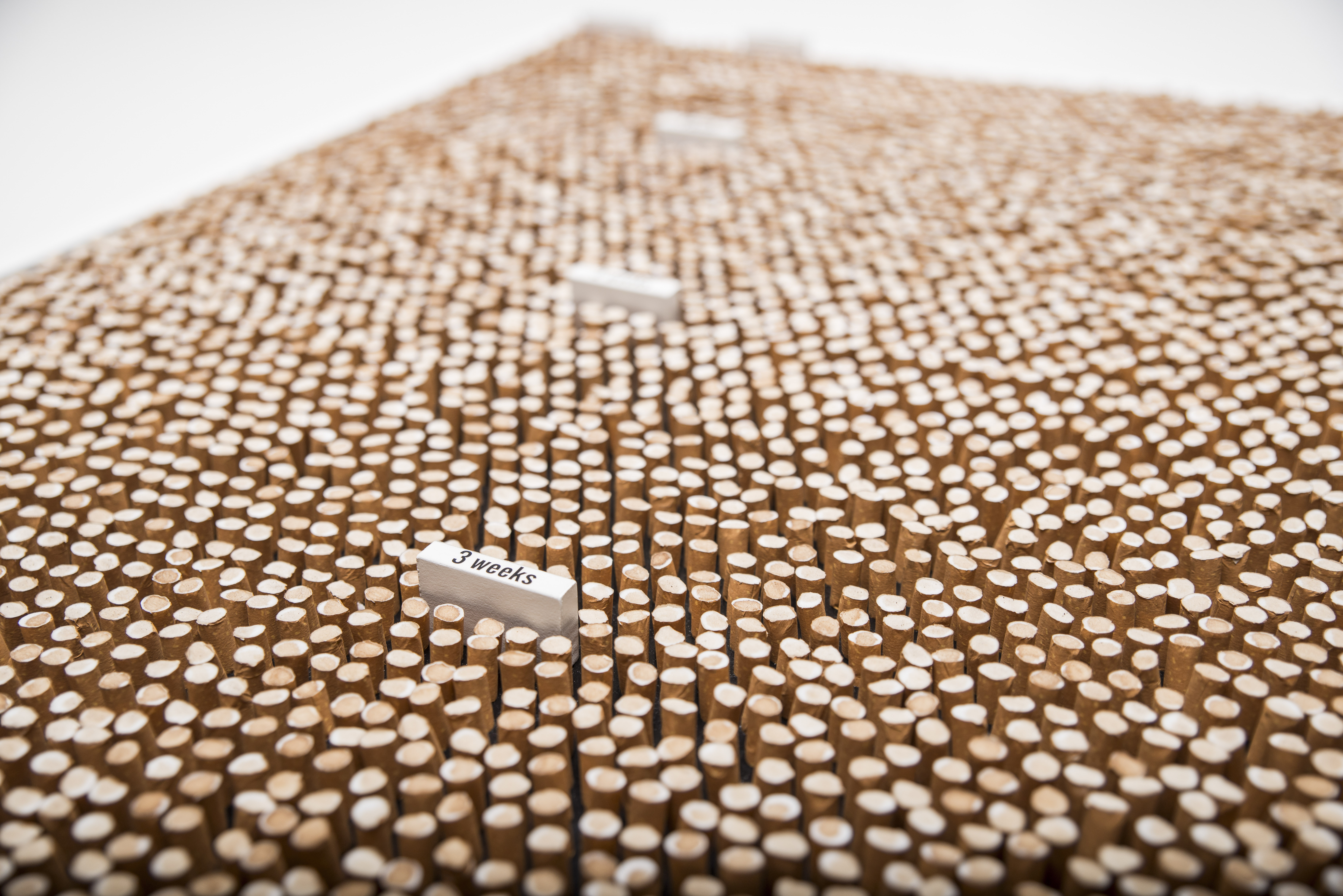 Complementary image of the project No title