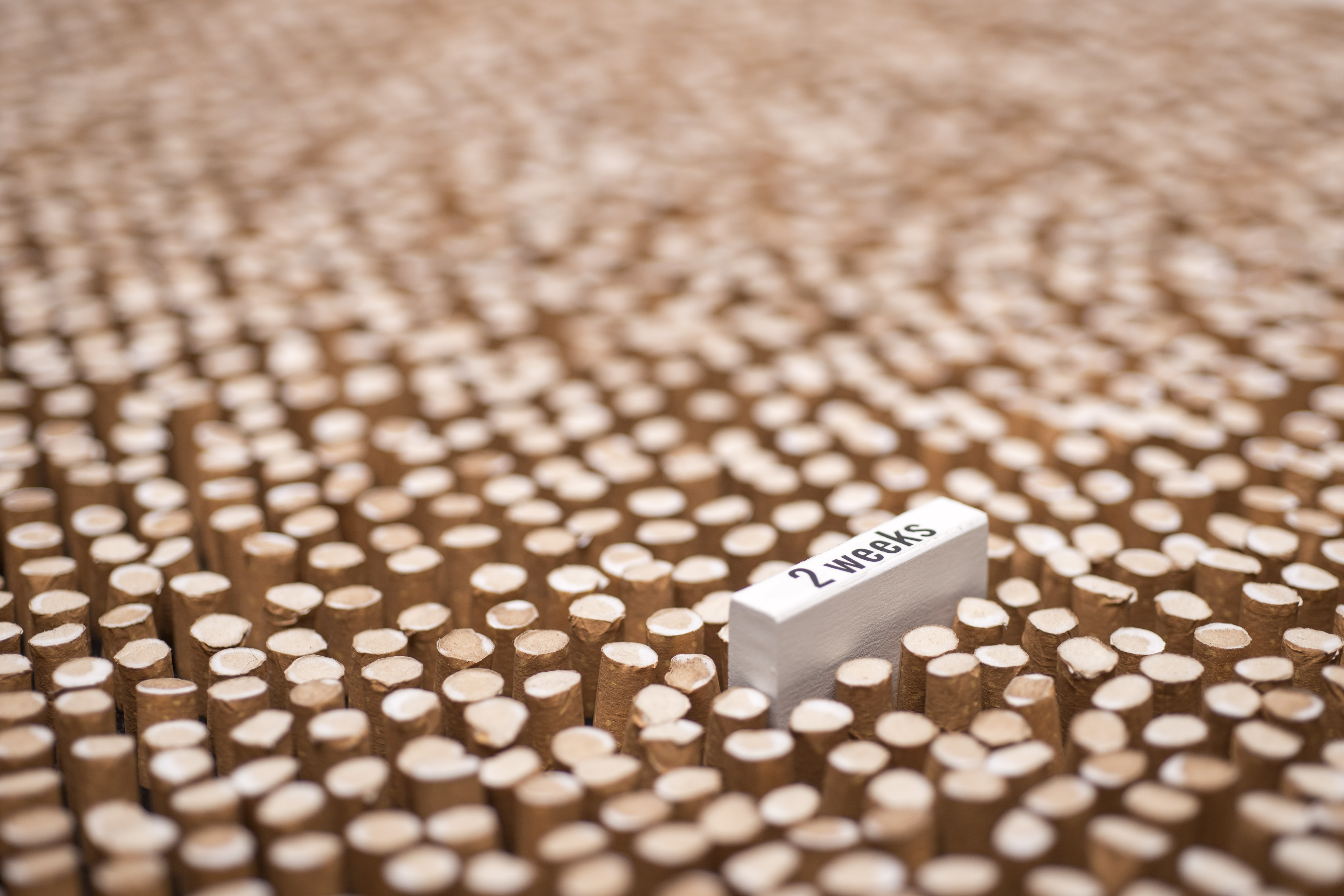 Complementary image of the project No title