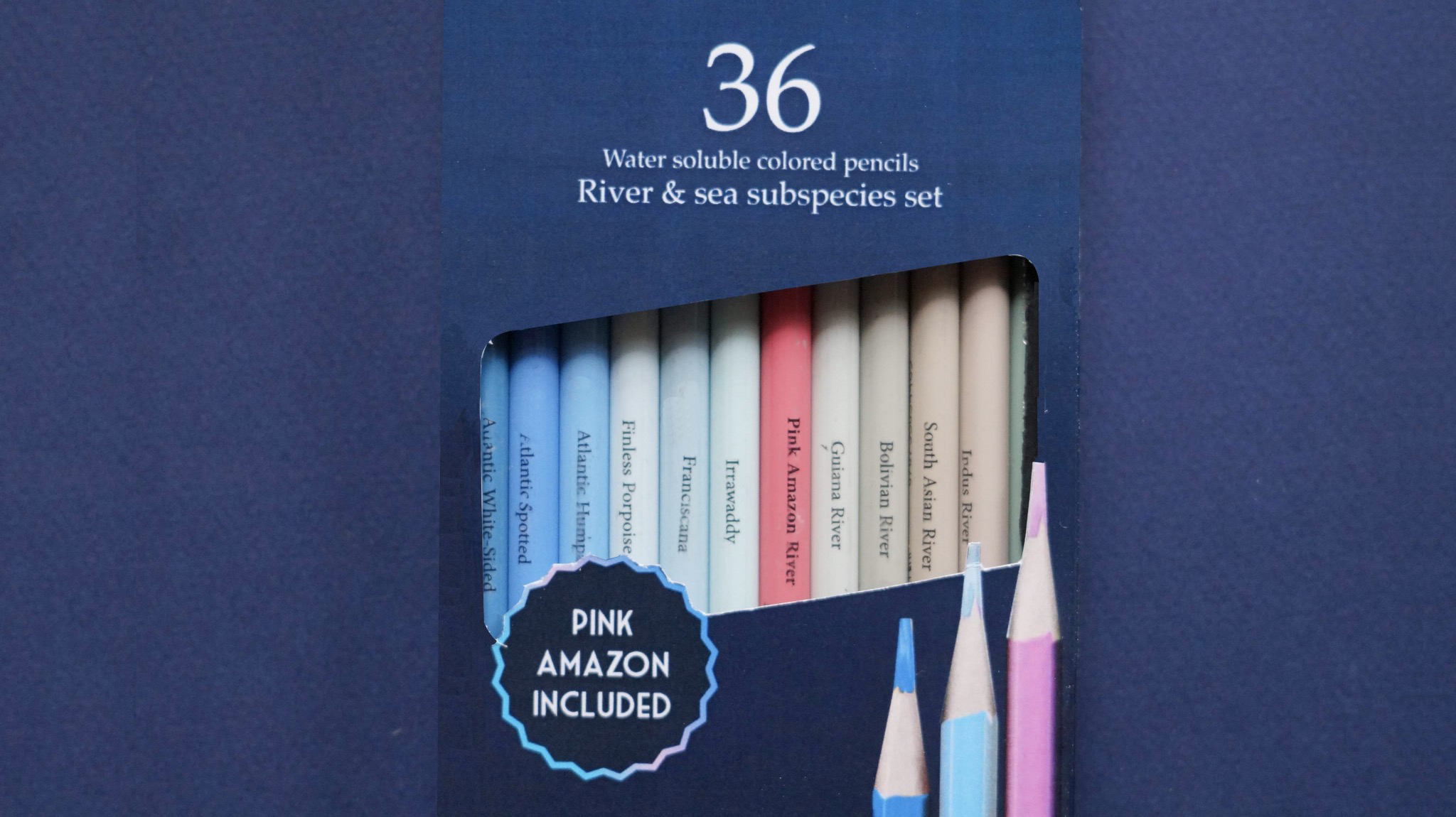 Complementary image of the project Amazonas