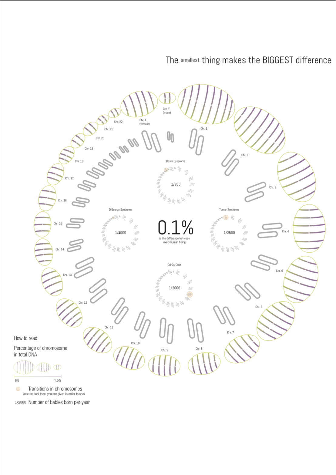 Featured image of the project The smallest things make the BIGGEST difference