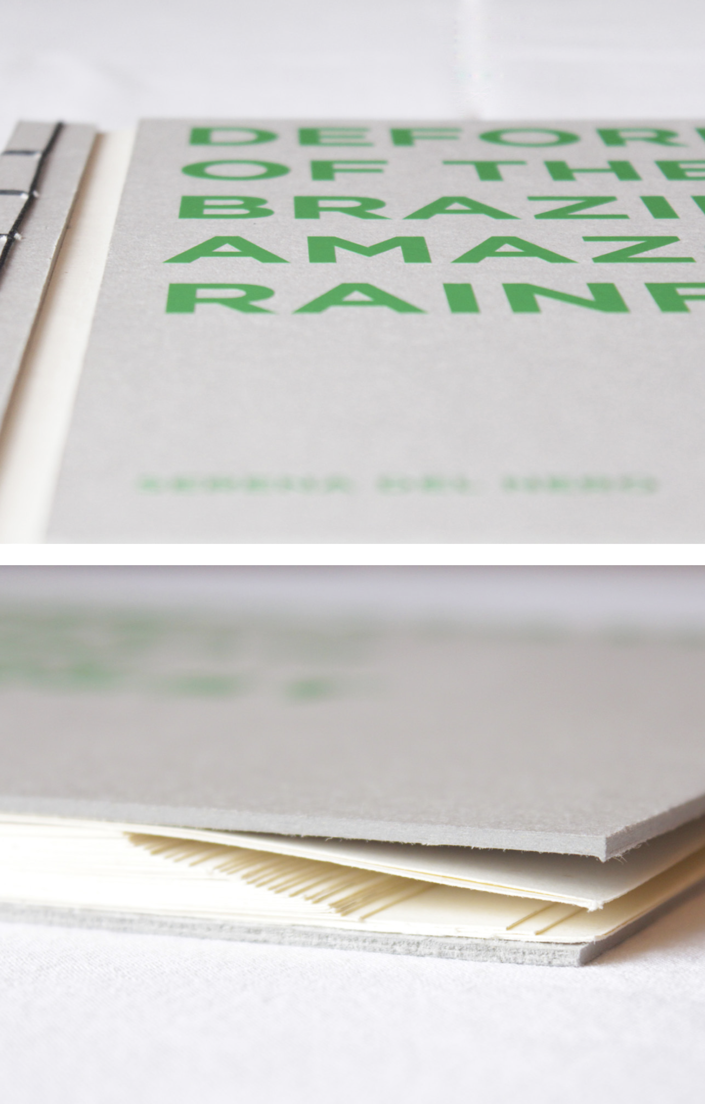 Complementary image of the project Deforestazione della foresta amazzonica Brasiliana