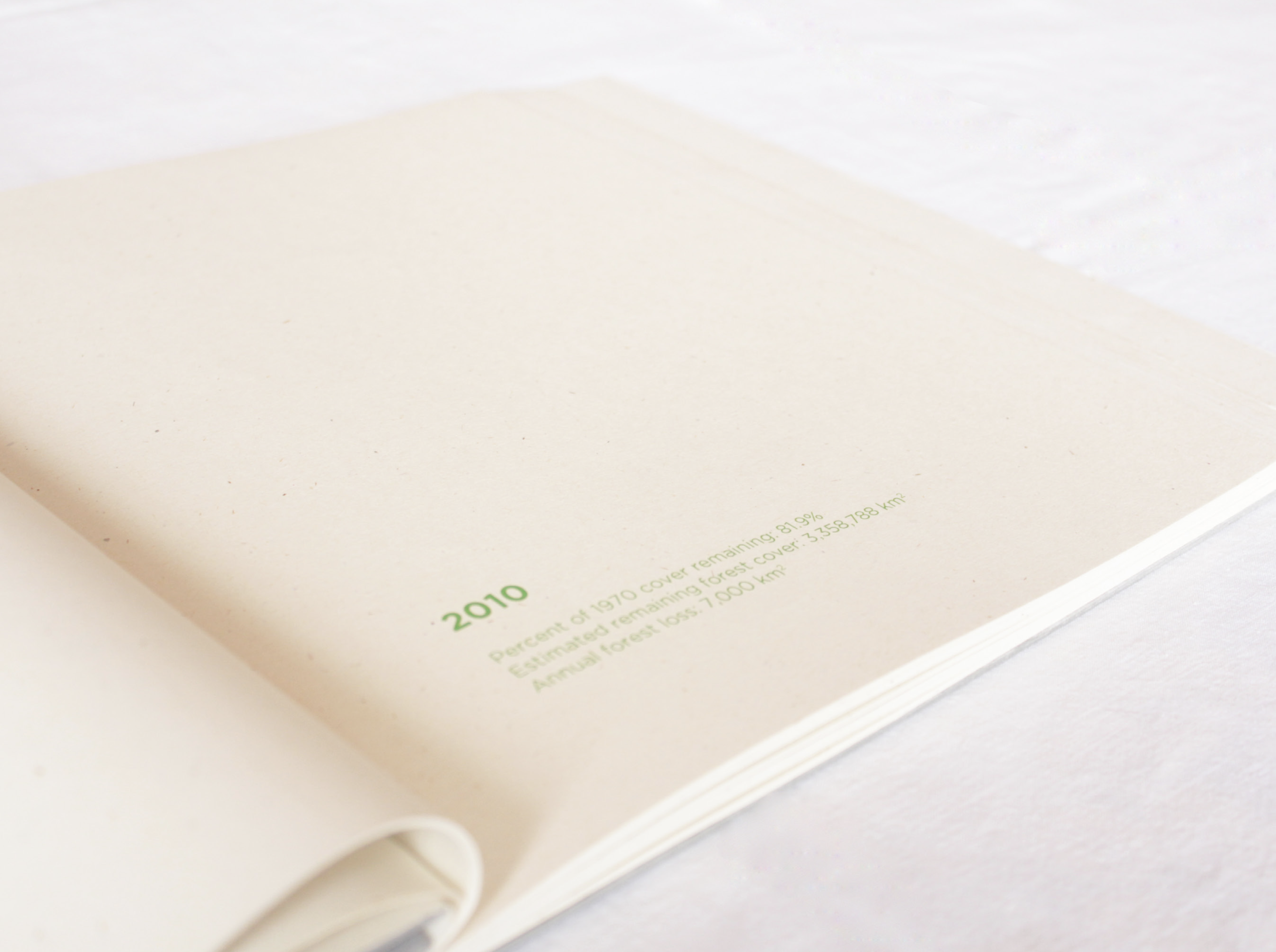 Complementary image of the project Deforestazione della foresta amazzonica Brasiliana