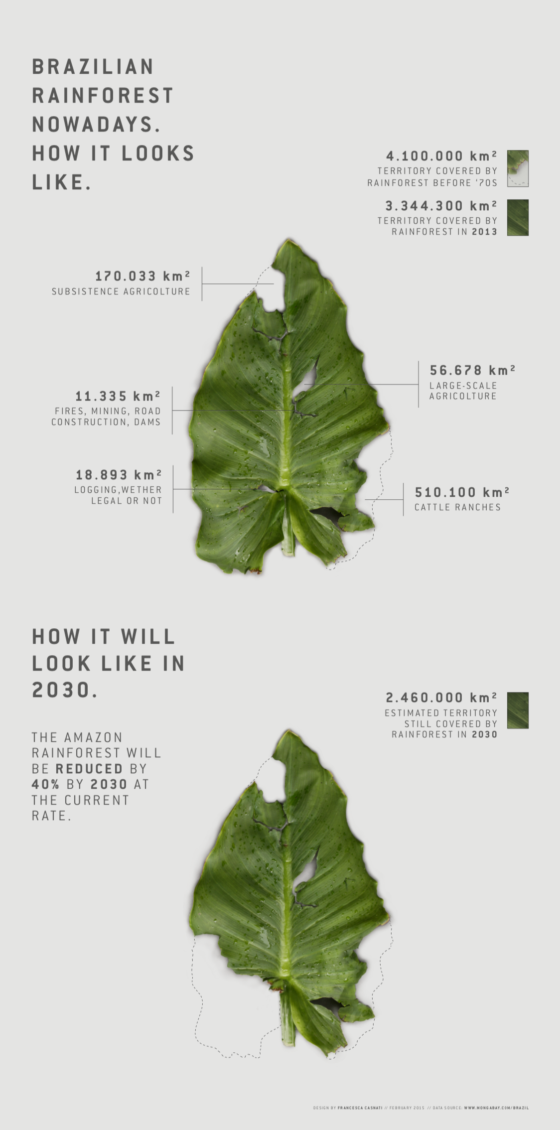 Featured image of the project Brazilian Rainforest Nowadays 