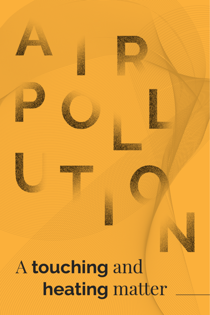 Complementary image of the project Air pollution