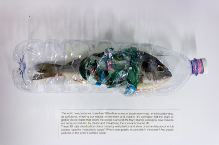 Complementary image of the project How waste plastic affect the ocean?