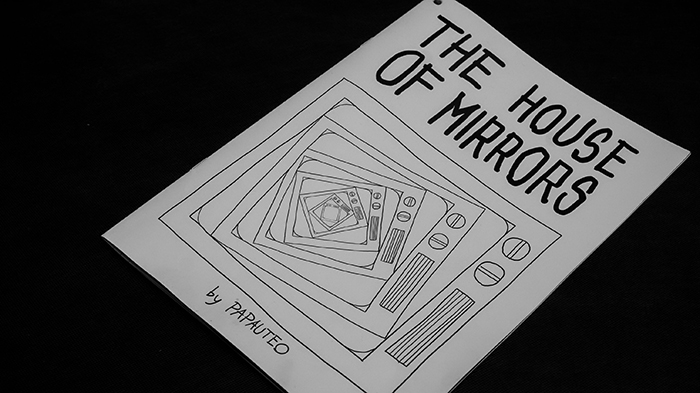 Complementary image of the project The house of mirrors