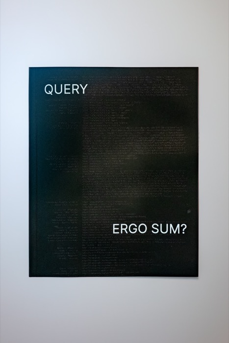 Complementary image of the project Query Ergo Sum?
