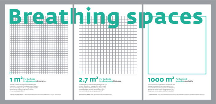 Complementary image of the project Breathing spaces