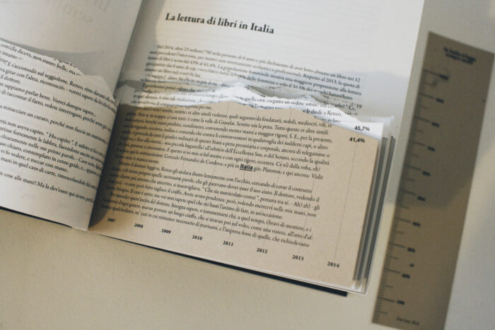 Complementary image of the project La lettura di libri in Italia