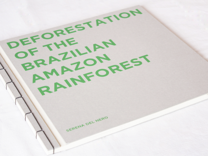 Featured image of the project Deforestazione della foresta amazzonica Brasiliana
