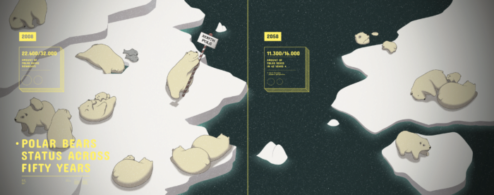 Featured image of the project Polar bear status across fifty years